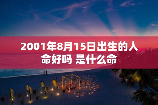 2001年8月15日出生的人命好吗 是什么命