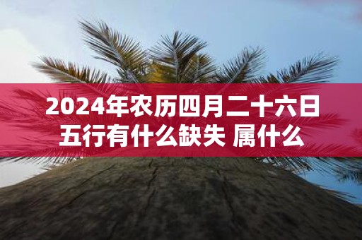 2025年农历四月二十六日五行有什么缺失 属什么