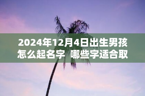 2025年12月4日出生男孩怎么起名字 哪些字适合取名