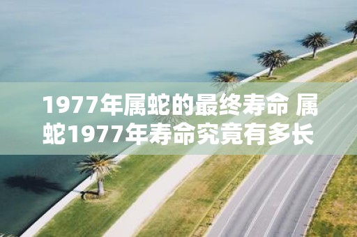1977年属蛇的最终寿命 属蛇1977年寿命究竟有多长