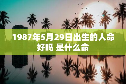 1987年5月29日出生的人命好吗 是什么命