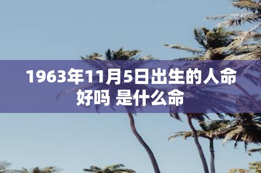 1963年11月5日出生的人命好吗 是什么命