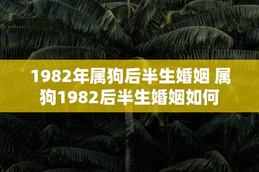1982年属狗后半生婚姻 属狗1982后半生婚姻如何