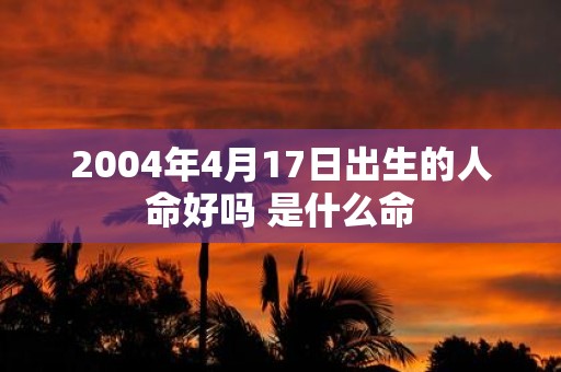 2004年4月17日出生的人命好吗 是什么命