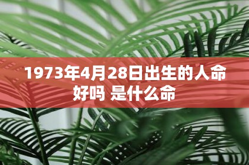 1973年4月28日出生的人命好吗 是什么命