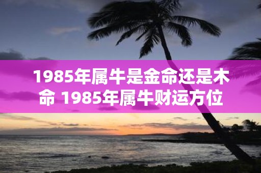 1985年属牛是金命还是木命 1985年属牛财运方位