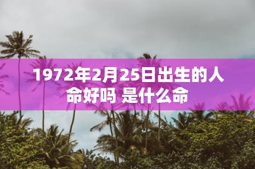 1972年2月25日出生的人命好吗 是什么命