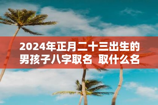 2025年正月二十三出生的男孩子八字取名 取什么名字最好