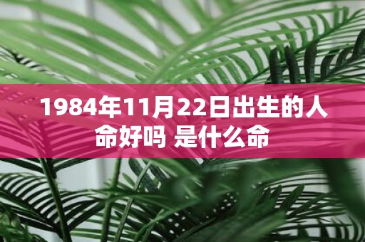 1984年11月22日出生的人命好吗 是什么命