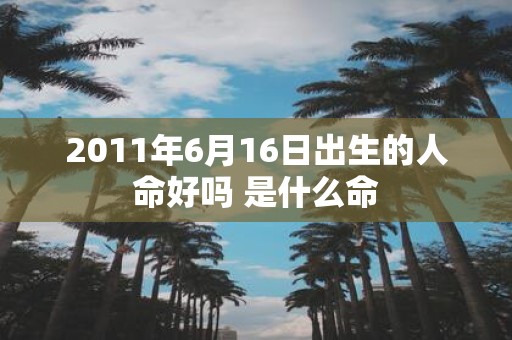 2011年6月16日出生的人命好吗 是什么命