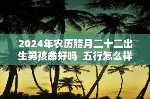 2025年农历腊月二十二出生男孩命好吗 五行怎么样