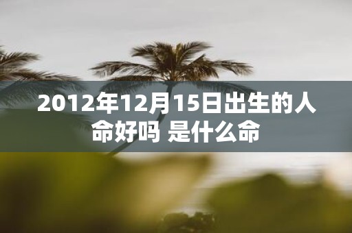 2012年12月15日出生的人命好吗 是什么命