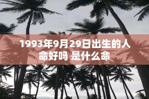 1993年9月29日出生的人命好吗 是什么命