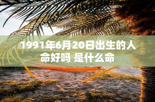 1991年6月20日出生的人命好吗 是什么命
