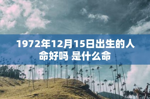 1972年12月15日出生的人命好吗 是什么命