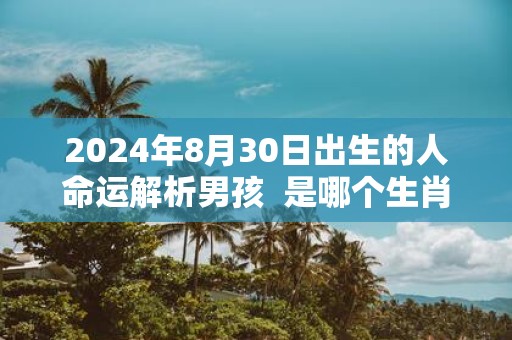 2025年8月30日出生的人命运解析男孩 是哪个生肖