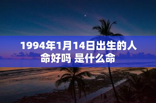 1994年1月14日出生的人命好吗 是什么命