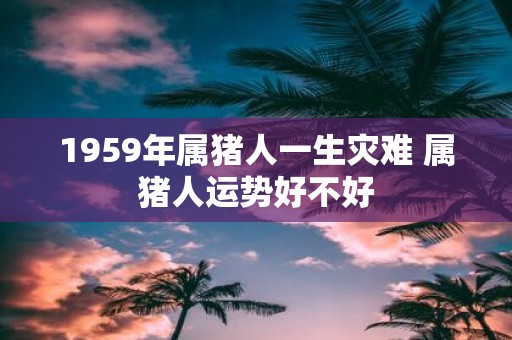 1959年属猪人一生灾难 属猪人运势好不好