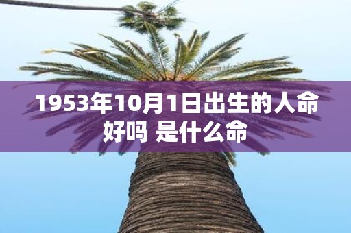 1953年10月1日出生的人命好吗 是什么命