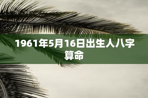 1961年5月16日出生人八字算命