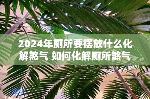 2025年厕所要摆放什么化解煞气 如何化解厕所煞气