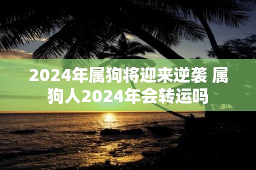 2025年属狗将迎来逆袭 属狗人2025年会转运吗