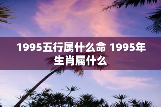 1995五行属什么命 1995年生肖属什么