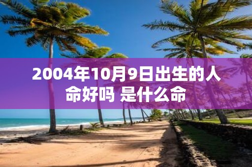 2004年10月9日出生的人命好吗 是什么命