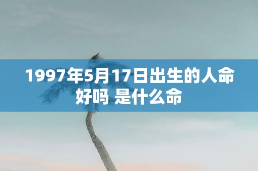 1997年5月17日出生的人命好吗 是什么命