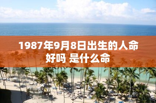 1987年9月8日出生的人命好吗 是什么命