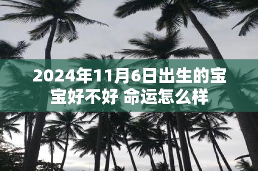 2025年11月6日出生的宝宝好不好 命运怎么样
