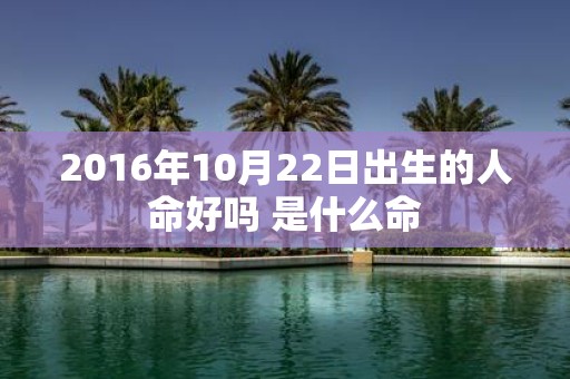2016年10月22日出生的人命好吗 是什么命