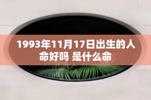 1993年11月17日出生的人命好吗 是什么命