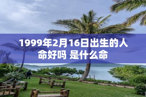 1999年2月16日出生的人命好吗 是什么命