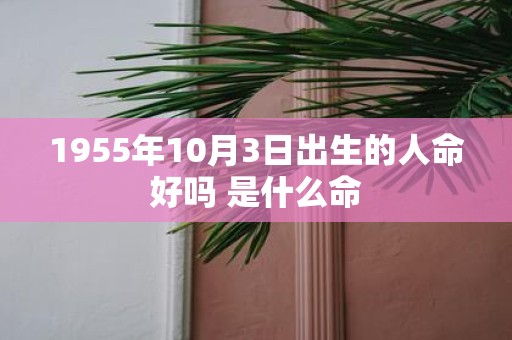 1955年10月3日出生的人命好吗 是什么命