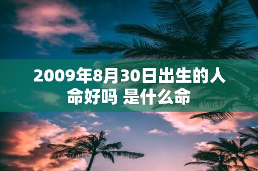 2009年8月30日出生的人命好吗 是什么命