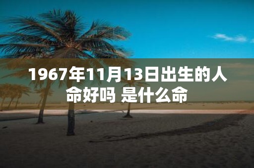 1967年11月13日出生的人命好吗 是什么命