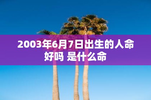2003年6月7日出生的人命好吗 是什么命