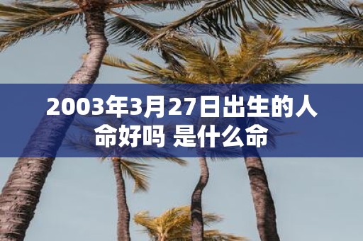 2003年3月27日出生的人命好吗 是什么命