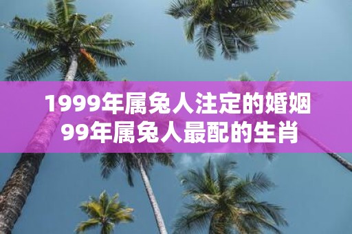 1999年属兔人注定的婚姻 99年属兔人最配的生肖