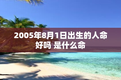 2005年8月1日出生的人命好吗 是什么命