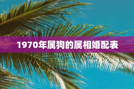 1970年属狗的属相婚配表