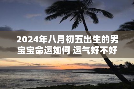 2025年八月初五出生的男宝宝命运如何 运气好不好