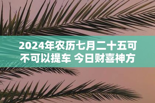 2025年农历七月二十五可不可以提车 今日财喜神方位