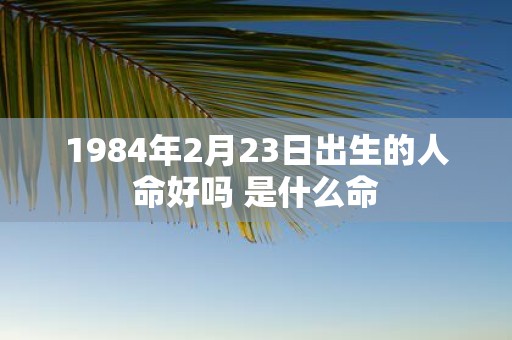 1984年2月23日出生的人命好吗 是什么命