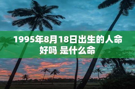 1995年8月18日出生的人命好吗 是什么命