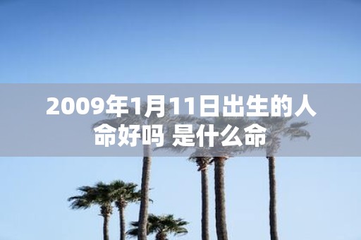 2009年1月11日出生的人命好吗 是什么命