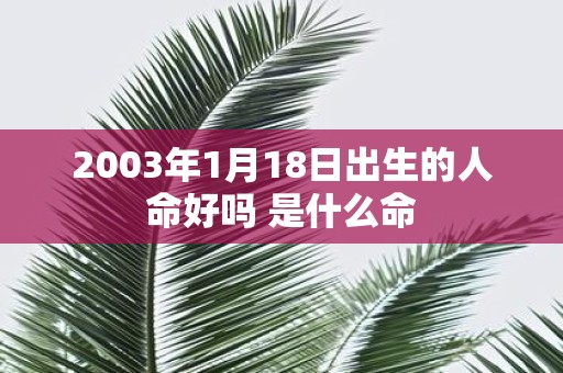 2003年1月18日出生的人命好吗 是什么命