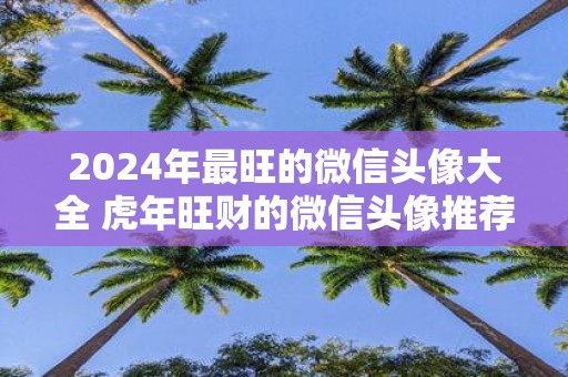 2025年最旺的微信头像大全 虎年旺财的微信头像推荐