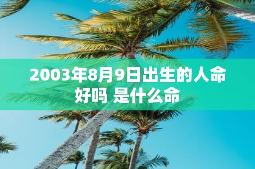 2003年8月9日出生的人命好吗 是什么命